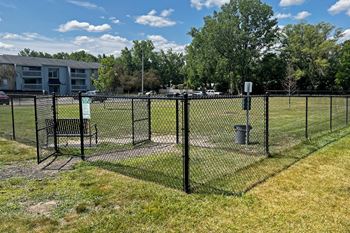 Dog park
